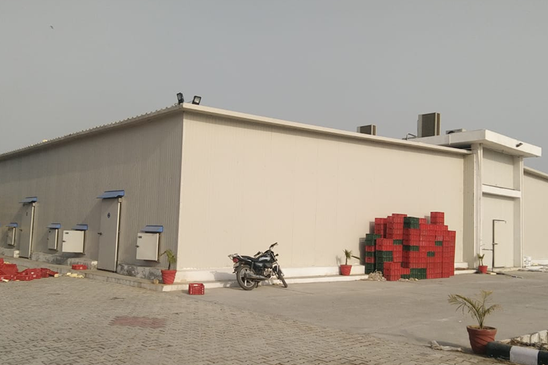 Complete Mushroom Farm Design and Setup by Shakti Industries