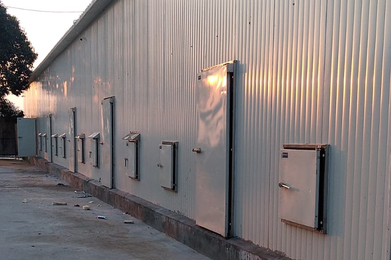 Complete Mushroom Farm Design and Setup by Shakti Industries